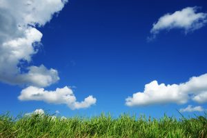 best roofing material for high winds